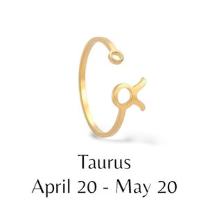 Taurus Zodiac Constellation Stainless Steel Open Front Adjustable Ring